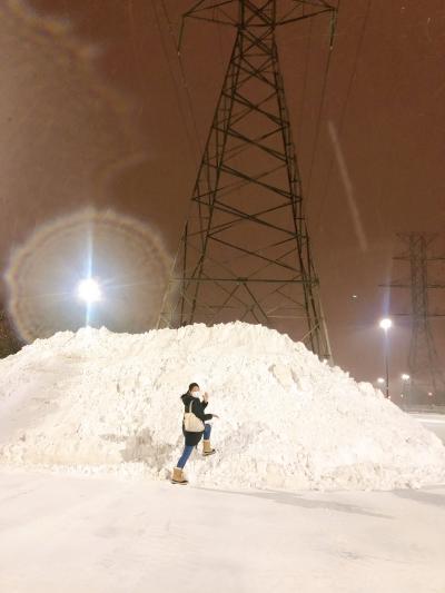 念願の留学 2019 安く豪雪に耐える方法