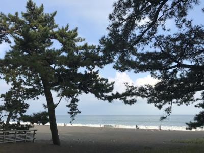 読みが外れた美術館巡り