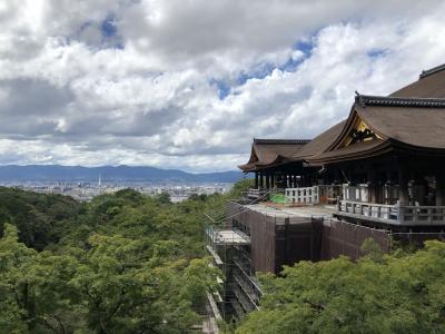 Go To 京都 1 清水寺 地主神社 八坂神社 味味香