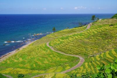 20200905-4 輪島 白米千枚田で、田んぼ見学と道の駅のおにぎり。