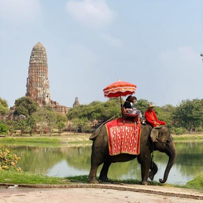 アラフィフ夫婦のタイ&ラオス旅行☆その12☆【タイ・アユタヤ 列車&自転車で遺跡巡り】