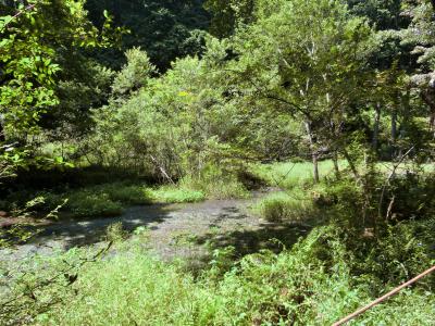 県内旅行で湯河原へ。　その①神奈川県の端っこで酷暑の中のハイキング。