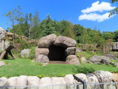 パンダのもり完成　☆　上野動物園の動物たちも暑さでグッタリ