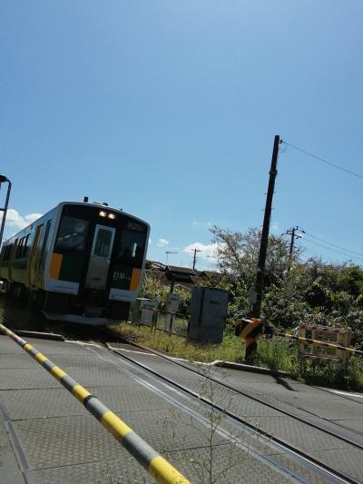 千葉県内フリーきっぷで行くローカル鉄道ひとり旅