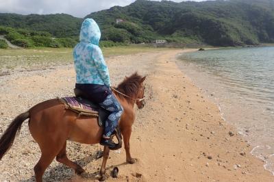 与那国島の南牧場のヨナグニ馬たち。②