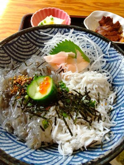 九十九里 グルメ に関する旅行記 ブログ フォートラベル 千葉県