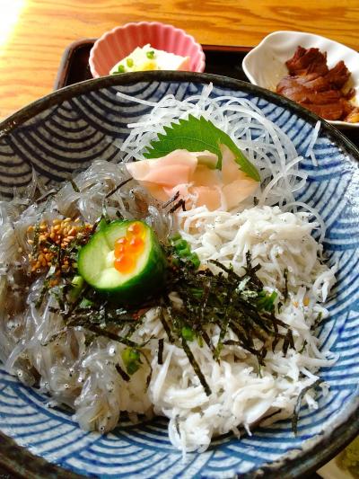 千葉県飯岡刑部岬と生シラス丼を食べに。