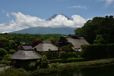 忍野八海