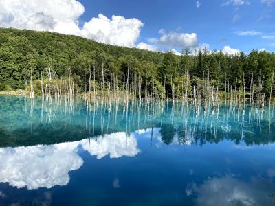 Go To トラベルで北海道旅行②