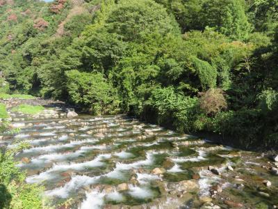 心の安らぎ旅行 2020年9月 箱根旅行 Part9 天成園の庭園を散策してみた♪2日目☆