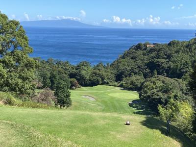 個人旅行記41（2020川奈②）