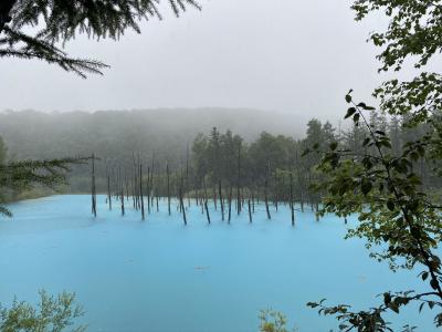 青い池はやっぱり青かった　GO TO キャンペーン使ってみた