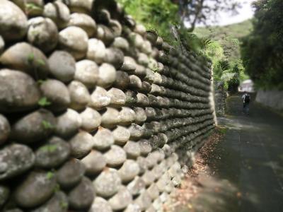 東京の伊豆諸島「八丈島」へ遊びに行こう！前半（・ω・）/♪
