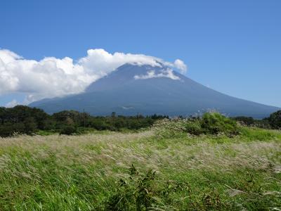 富士山見たいけど、ウチはGO TOキャンペーンは利用できないので、意地でも日帰り。