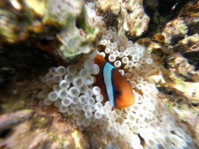 初宮古島!おっさんひとり旅