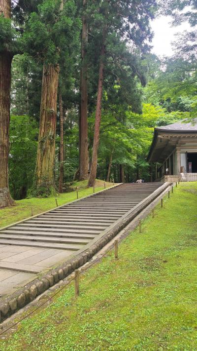 久々の遠出は日帰りで平泉へ