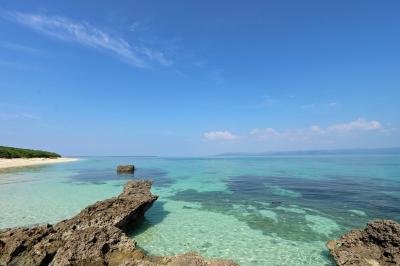 別冊・てみちま（夫）Diving Log2020 ☆巻頭特集【石垣島ダイビングと黒島散策・石垣タウン情報】☆連載企画【関西日帰りダイビング】