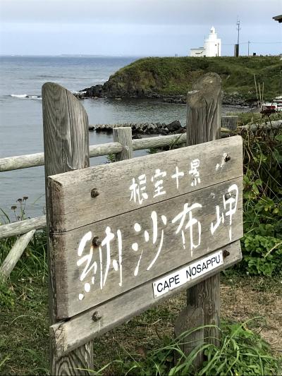 往復予約で帰りの航空券が\8！+GoToで北海道に行ってきました。釧路湿原・納沙布岬