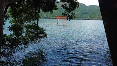 GOTOトラベルでぶらり箱根旅①～健康祈願でパワースポット神社へ～