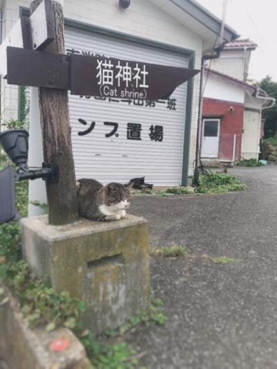 初の宮城県と猫の島～3日目～