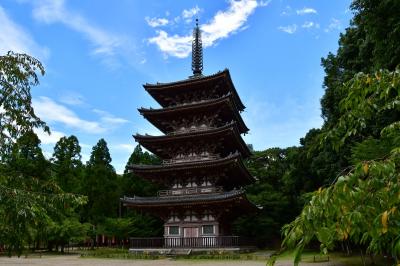 京都府：二条城、妙顕寺城、勝竜寺城、淀城、伏見城（その3）