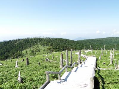 2020夏 大台ケ原ハイキング