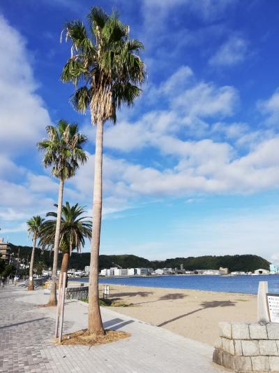 三浦海岸 三崎に関する旅行記 ブログ フォートラベル 神奈川県