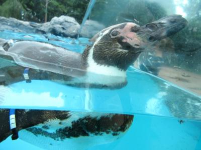 近さが魅力！ @埼玉県こども動物自然公園・北園