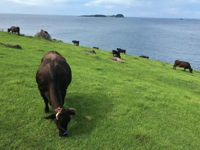 見たことのない風景を求めて、海と牛が作った景観（１、２日目）