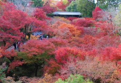 2019古都京都もみじ満喫の旅2泊3日①