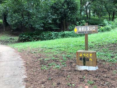 或る夏の日の箱根山登山