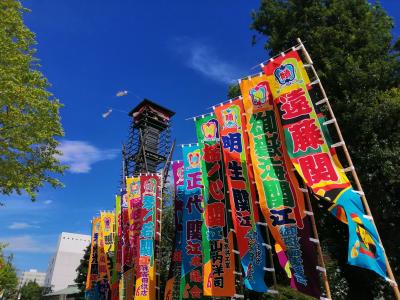 東京下町で東京観光（国技館で大相撲～スカイツリー）