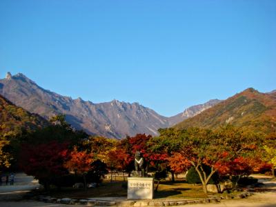 紅葉シーズン♪雪岳山と世界遺産★全部行く～韓国周遊の旅　⑥　（秋がオススメ♪韓国最大リゾート国立公園）