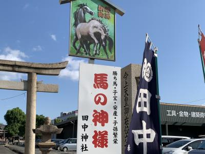 馬の神社⛩🐎知られていない!