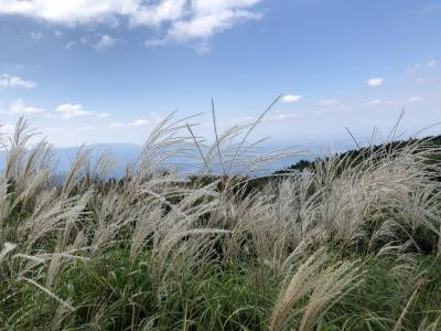 大和葛城山登山