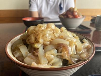 ぶらり鳥取ドライブ横断−海鮮丼と三朝温泉と砂丘と鬼太郎の旅−