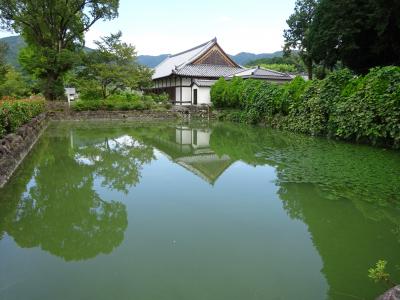 志摩から移動して初めての飛鳥路をサイクリング！