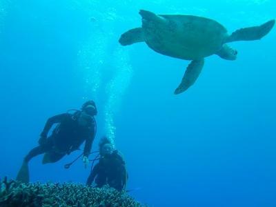 2020.09　沖縄 DIVINGと飲み会