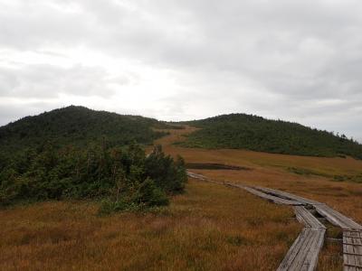 尾瀬燧ヶ岳：高層湿原の紅葉