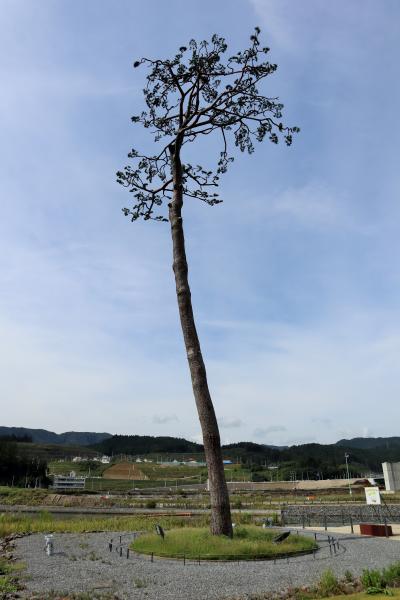 三陸鉄道の旅：気仙沼編