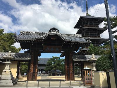 ♪金比羅ふねふね♪金比羅宮と弘法大師空海のふるさと善通寺の香川編です。