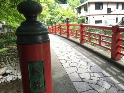 静岡旅行＊＊修善寺へ