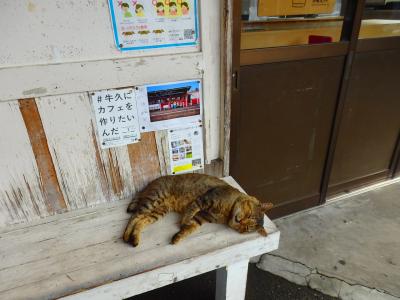 小湊鉄道・黄金色に輝く田んぼの中を走る鉄道を求めて！（と思ったら稲刈り終わってましたｗ）