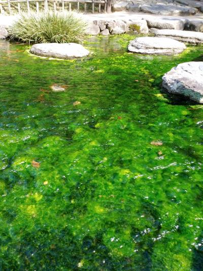 高松に気分転換しにふらっと一人旅