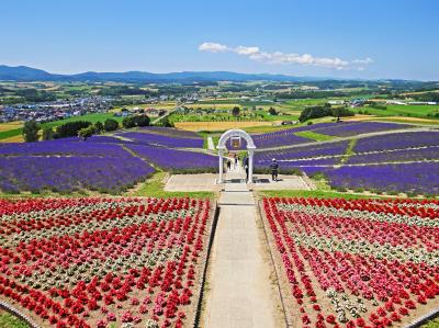 花の富良野・美瑛 VI　上富良野　日の出ラベンダー園