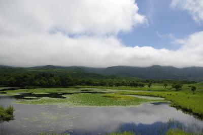 ひがし北海道旅行②　知床観光（終日知床観光のはずが…）