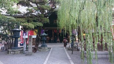 Ｇo Ｔo トラベルを使って京都を観光。ヽ(*´∀｀*)ﾉ
