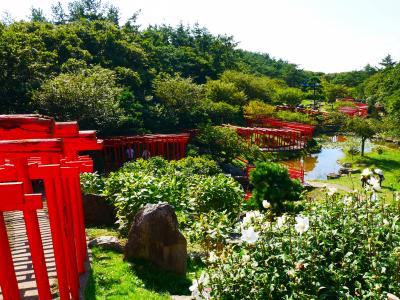 観光・食事・買い物すべてを満喫できた青森③～見どころ満載の海沿いドライブ～