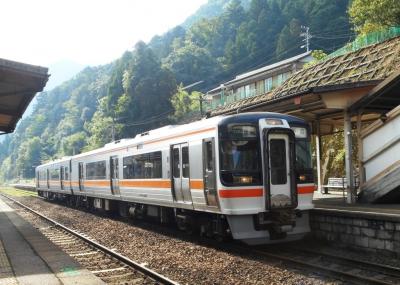 岐阜-鉄道紀行、転換クロスシート王国を往く．その２