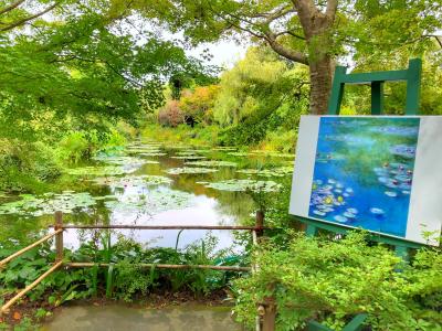 世界で２つだけのマルモッタン『モネの庭』を訪ねて ～青い睡蓮＆青い蜂に邂逅♪